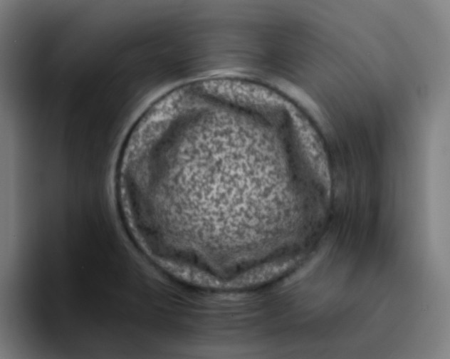 X0000094181423200711161719