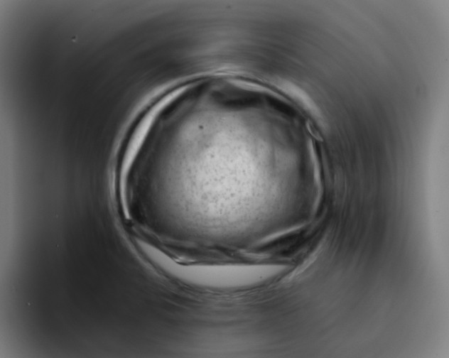 X0000094181424200711161719