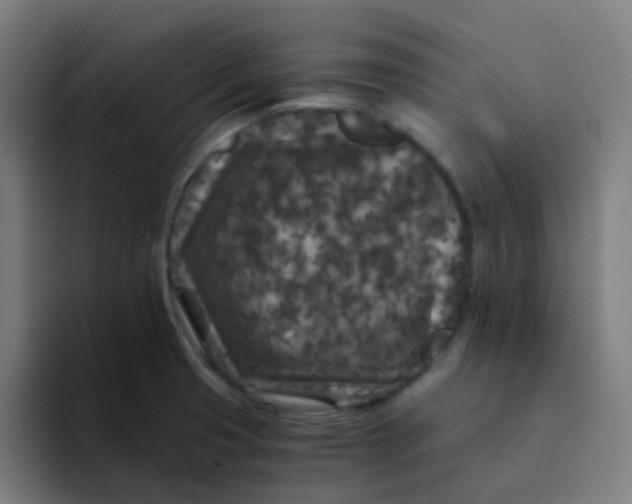 X0000094181425200711161719