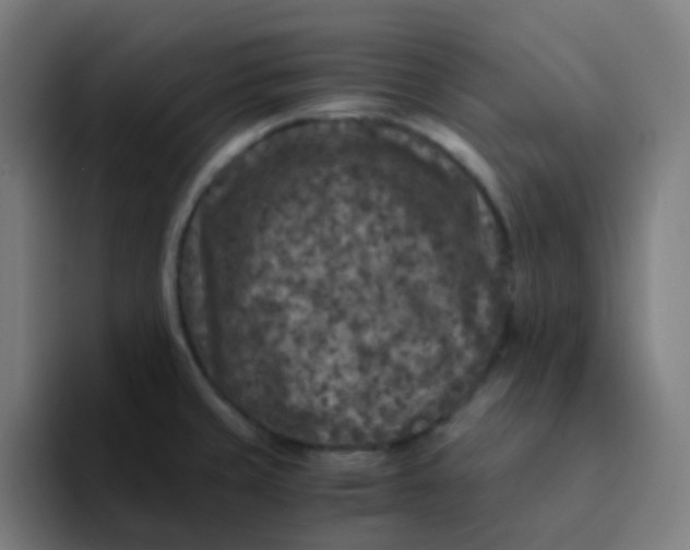 X0000094181429200711161719