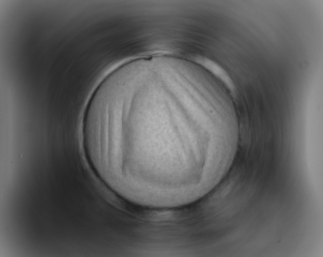 X0000094181431200711161719