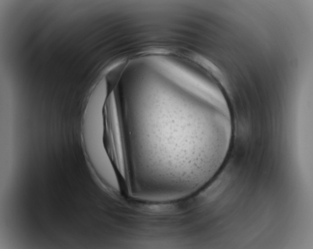 X0000094181433200711161719