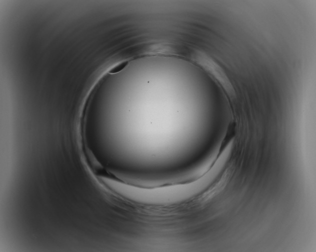 X0000094181434200711161719
