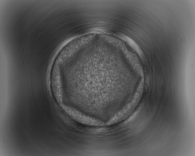 X0000094181435200711161719