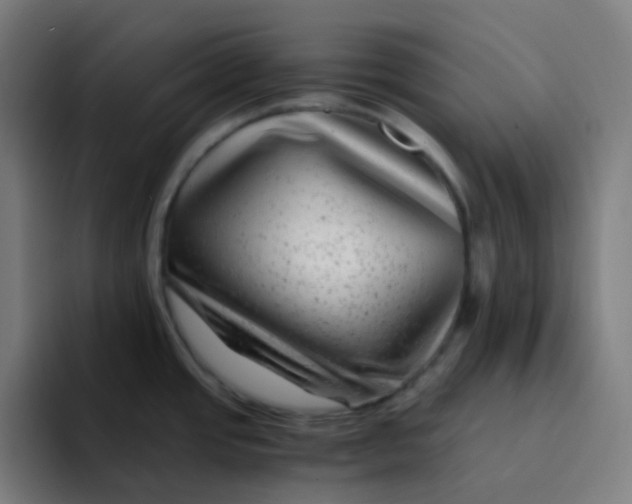 X0000094181437200711161719