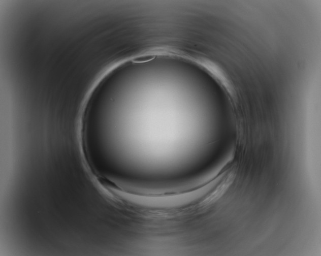 X0000094181438200711161719
