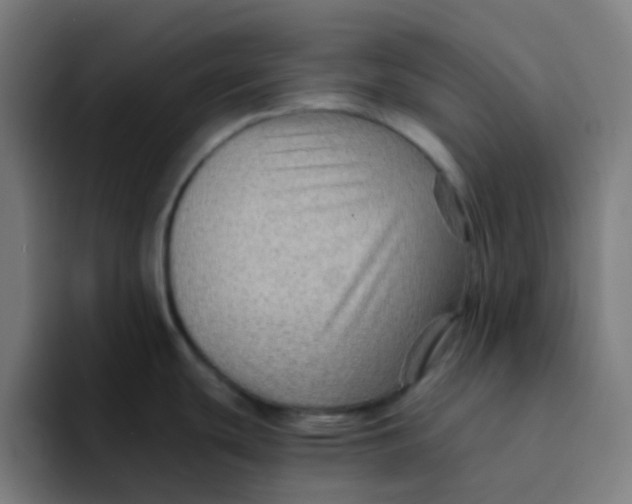 X0000094181439200711161719
