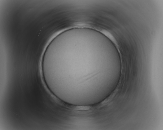 X0000094181440200711161719