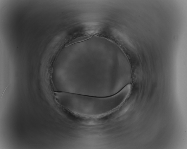 X0000094181441200711161718
