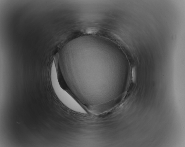 X0000094181443200711161718