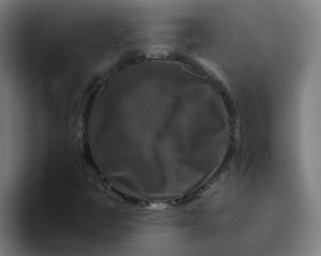 X0000094181445200711161718
