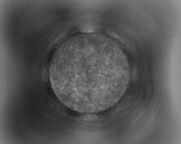 X0000094181446200711161718