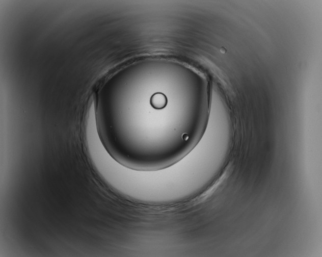 X0000094181449200711161718