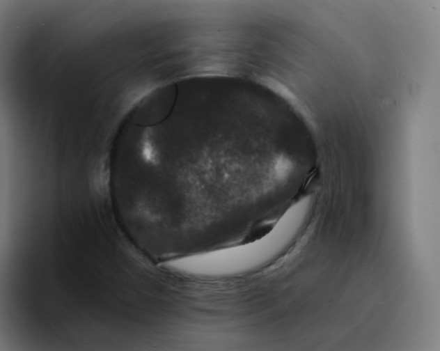X0000094181450200711161718