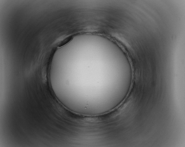 X0000094181451200711161718