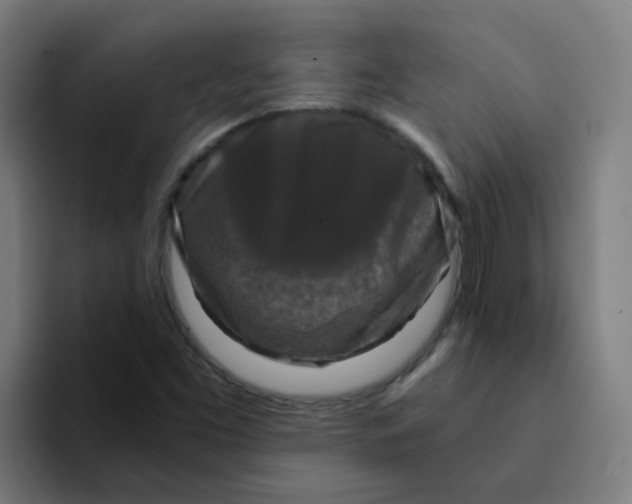 X0000094181453200711161718