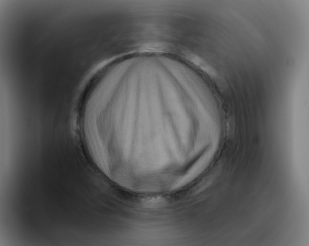 X0000094181454200711161718