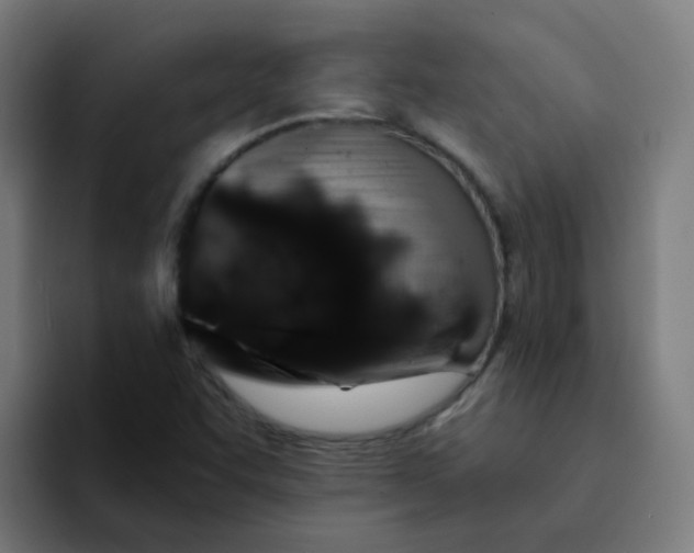 X0000094181455200711161718