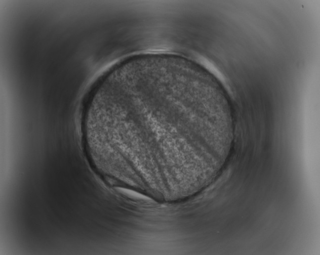 X0000094181456200711161718