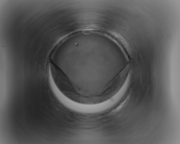X0000094181457200711161718