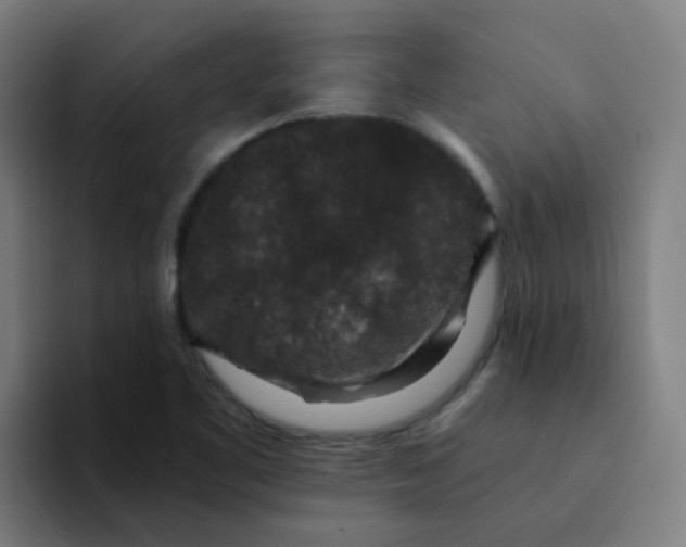 X0000094181461200711161718
