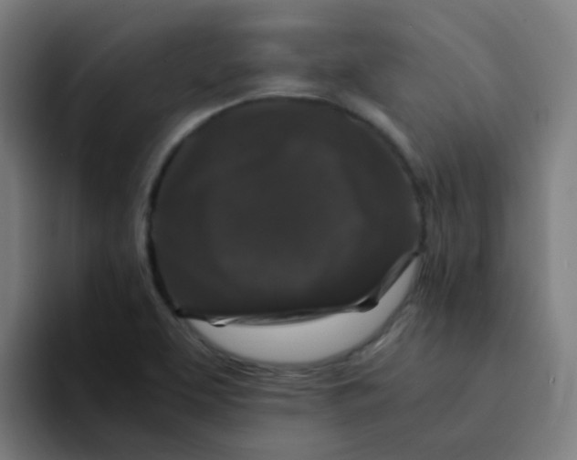 X0000094181463200711161718