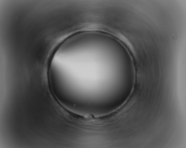 X0000094181464200711161718