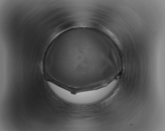 X0000094181465200711161718