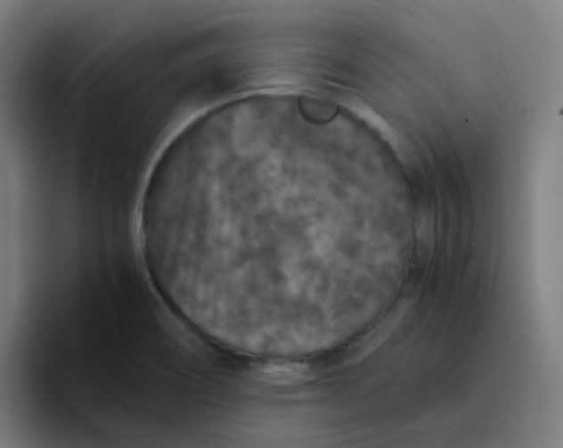 X0000094181466200711161718