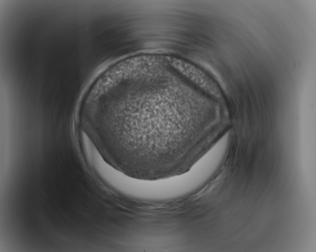 X0000094181467200711161718
