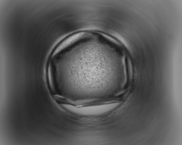 X0000094181468200711161718