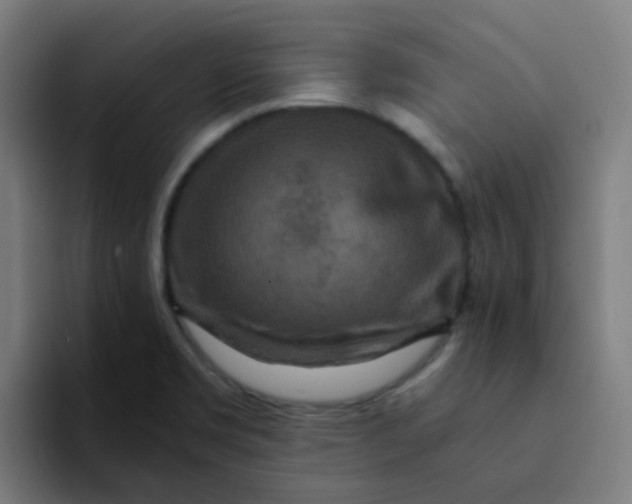 X0000094181469200711161718
