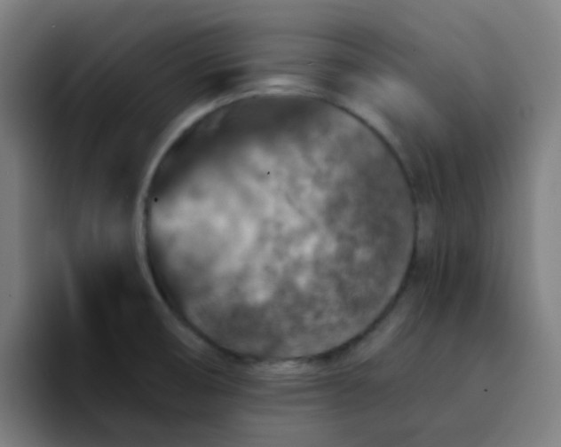 X0000094181474200711161718