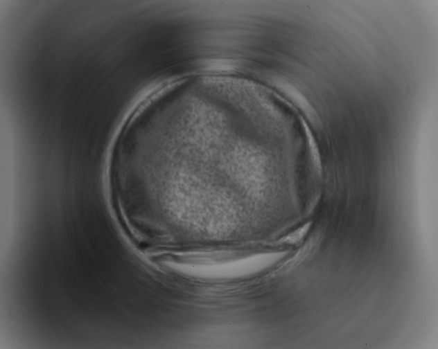 X0000094181475200711161718