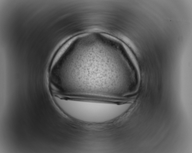 X0000094181476200711161718