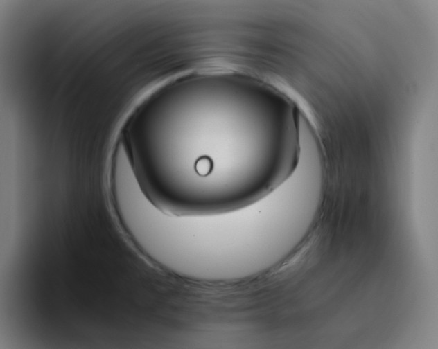 X0000094181477200711161718