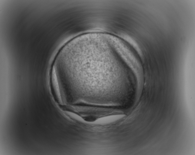 X0000094181480200711161718