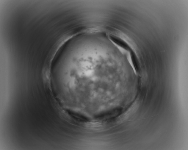 X0000094181481200711161718