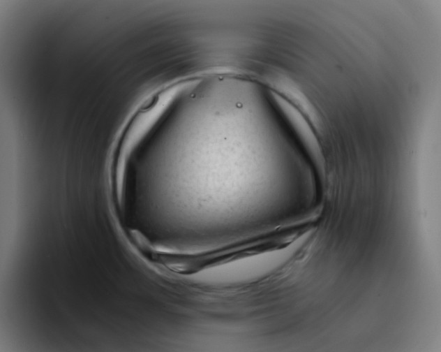 X0000094181483200711161718