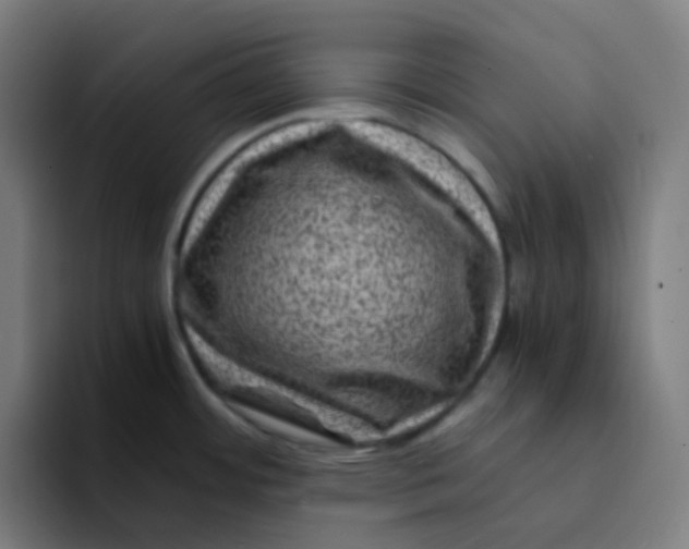 X0000094181484200711161718