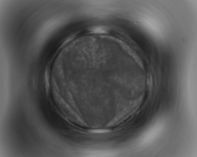 X0000094181487200711161718