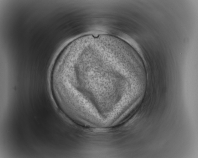 X0000094181488200711161718