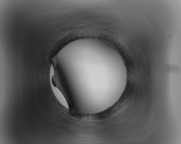 X0000094181490200711161717