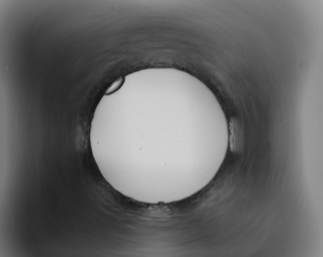 X0000094181491200711161717