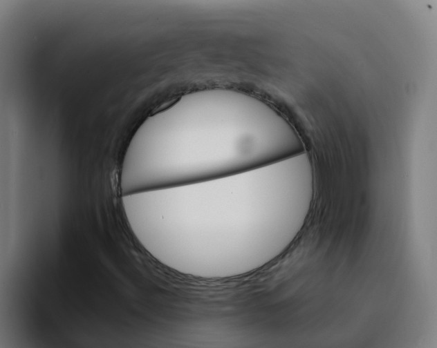 X0000094181492200711161717