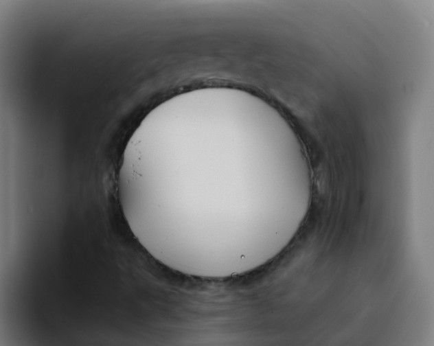X0000094181495200711161717