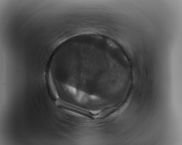 X0000094181497200711161717