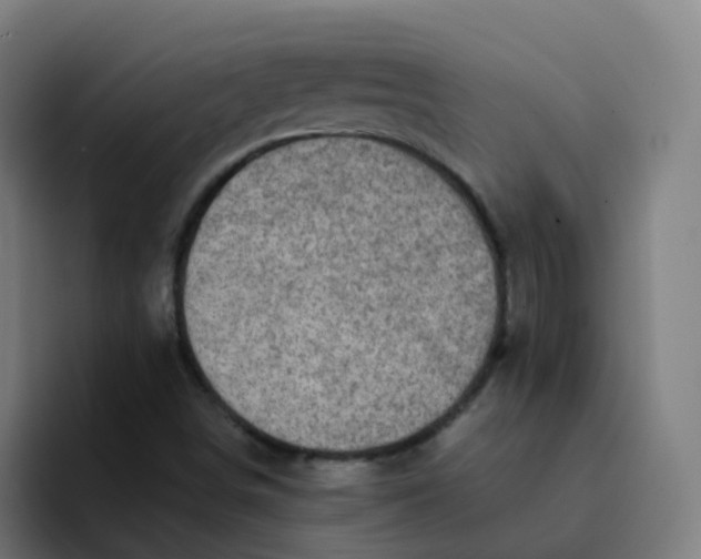 X0000094181498200711161717