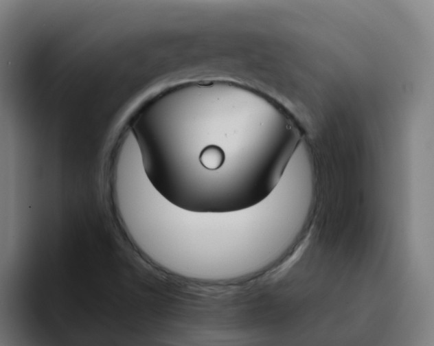 X0000094181502200711161717