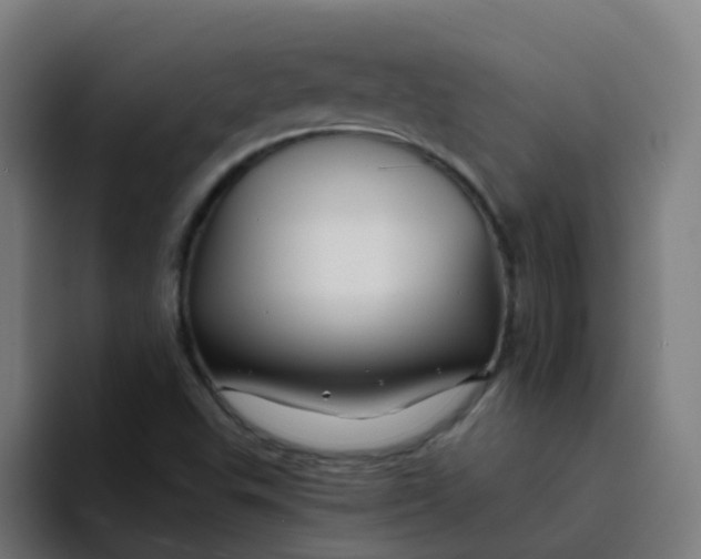 X0000094181503200711161717
